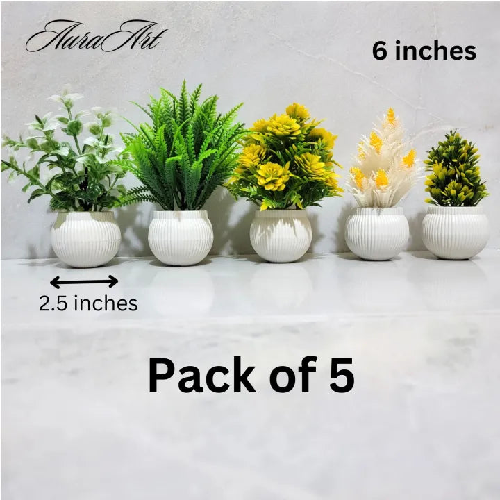 Pack of 3, 5 Artificial Small Plants - 6 Inches High Quality Table Top Decor in White Pots