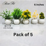 Pack of 3, 5 Artificial Small Plants - 6 Inches High Quality Table Top Decor in White Pots