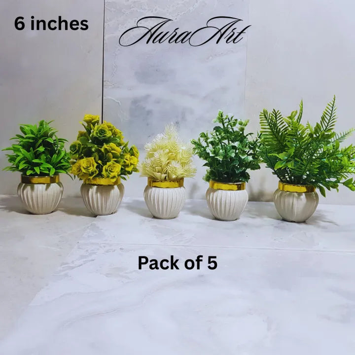 Pack of 3, 5 Artificial Small Plants - 6 Inches High Quality Table Top Decor in White Pots