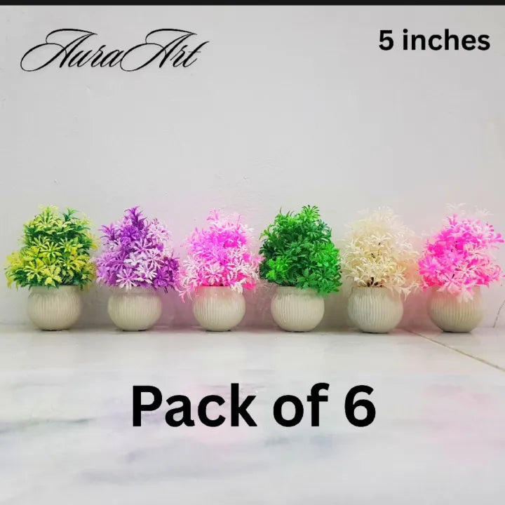 Pack of 3, 5 Artificial Small Plants - 6 Inches High Quality Table Top Decor in White Pots