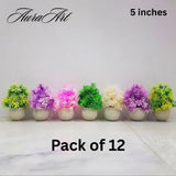 Pack of 3, 5 Artificial Small Plants - 6 Inches High Quality Table Top Decor in White Pots