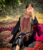 2 PCs women stitched embroidered cotton suit
