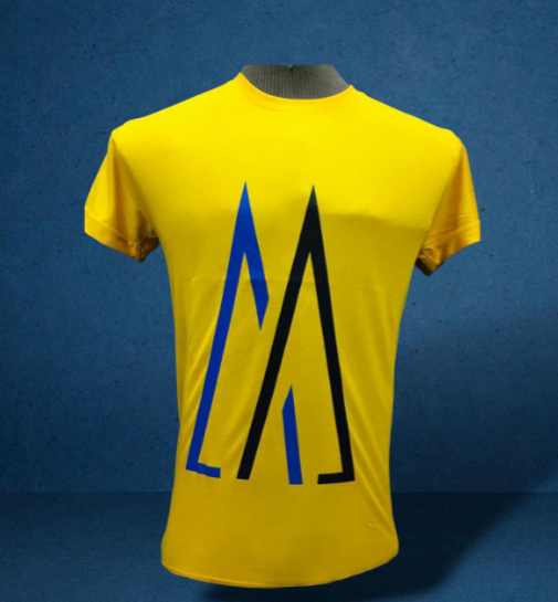 Dry fit T shirt for men